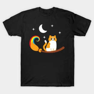 Chubby Cat and The Witch Broom T-Shirt